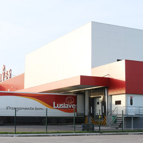 LUSIAVES 002