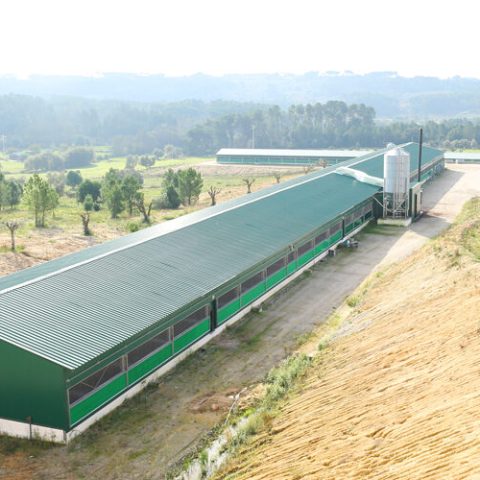 quinta da cruz 003