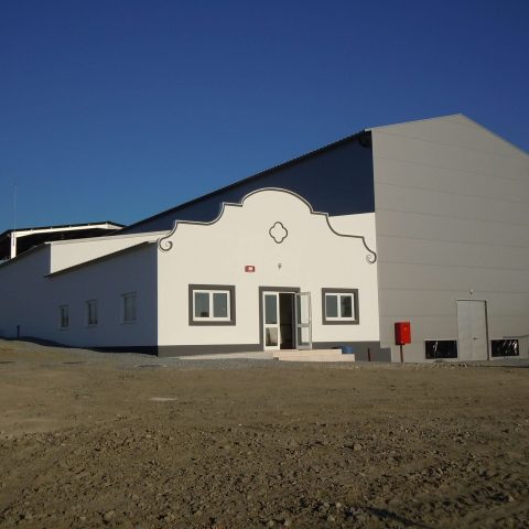 DSCN7801